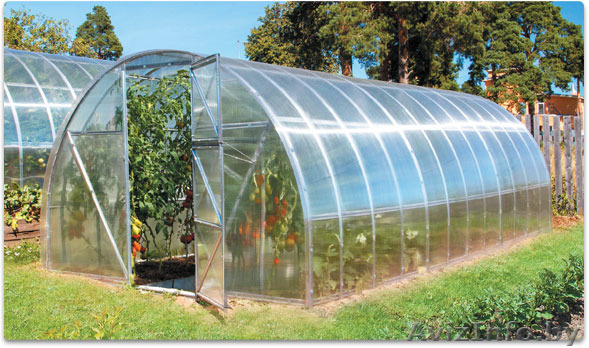 Теплицы "Скарбница" (аналог трубы 20х40). Рассрочка 0%. - Изображение #1, Объявление #1388501