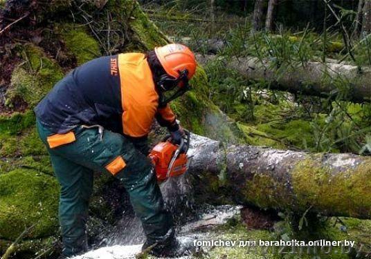 Спил деревьев, кустарников - Изображение #1, Объявление #1619797