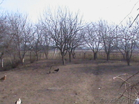 Продается ДОМ д. Красный Берег 850000 тыс. рос.рублей - Изображение #2, Объявление #46326