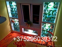  2-Х ЛЮКС КОМАНДИРОВОЧНЫМ НАПРОТИВ ЛЕДОВОГО ДВОРЦА 17МКР Д3  - Изображение #5, Объявление #1291115