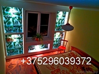 2-ХК КВ «ЛЮКС» КОМАНДИРОВОЧНЫМ НАПРОТИВ ЛЕДОВОГО ДВОРЦА 17МКР Д3  - Изображение #2, Объявление #1293104