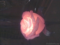 Художесвенная ковка - Изображение #1, Объявление #1307759