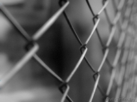 Недорого сетка рабица - Изображение #2, Объявление #1307774