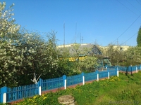 Продам дом и участок в аг. Пиревичи, Жлобинский р-н. - Изображение #2, Объявление #1482765