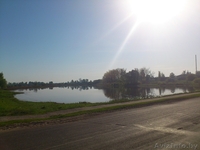 Продам дом и участок в аг. Пиревичи, Жлобинский р-н. - Изображение #3, Объявление #1482765