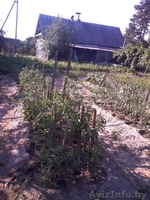 ПРОДАМ СРОЧНО ДАЧУ - Изображение #4, Объявление #1477826