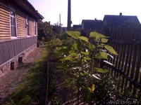 ПРОДАМ СРОЧНО ДАЧУ - Изображение #3, Объявление #1477826