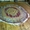 Химчитска ковров с выездом к заказчику на дом бесплатно - Изображение #3, Объявление #764246
