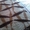 Химчитска ковров с выездом к заказчику на дом бесплатно - Изображение #5, Объявление #764246