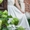  Фотосъемка свадьбы в Жлобине, свадебный фотограф - Изображение #7, Объявление #1373351