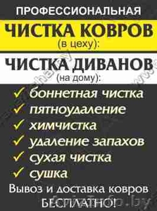 Чистка ковров,  мягкой мебели