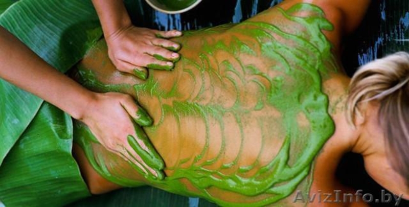 Фитосауна "Кедровая бочка", SPA-программы по уходу за телом - Изображение #4, Объявление #768645