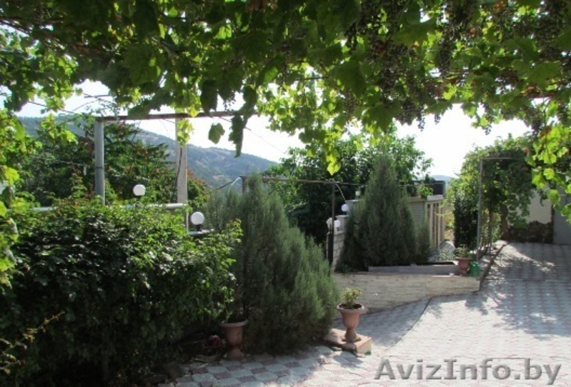 Отдых в Крыму, с. Приветное Алуштинского района - Изображение #2, Объявление #853674