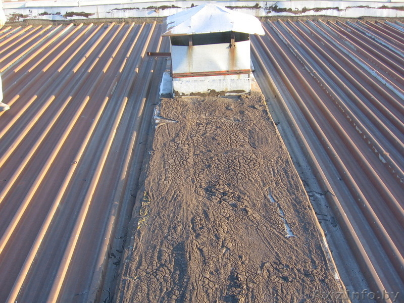 Магазин г. Жлобин, ул. Первомайская, 116 - Изображение #6, Объявление #669330