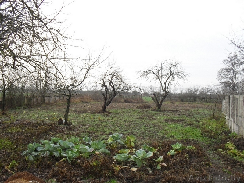 Дом с участком 25 соток в дер.Проскурни - Изображение #2, Объявление #994927