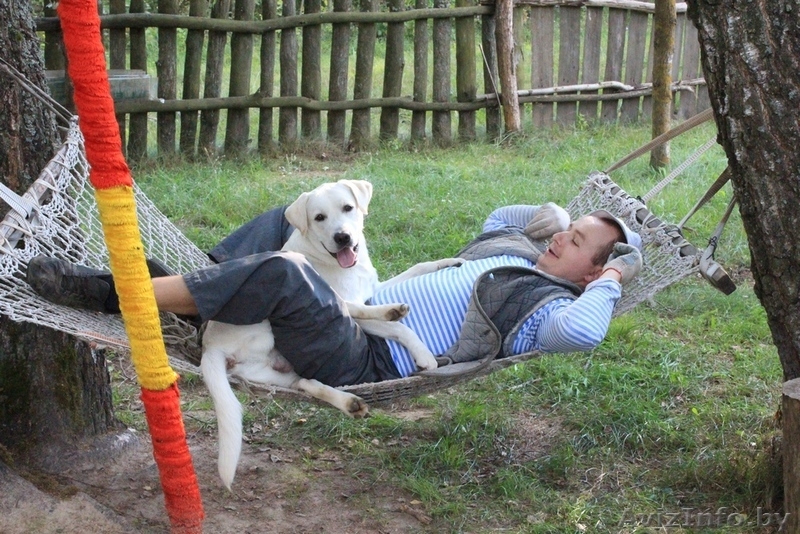 Вязка лабрадора - Изображение #3, Объявление #1271852