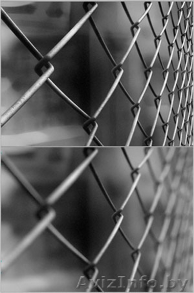 Недорого сетка рабица - Изображение #3, Объявление #1307774