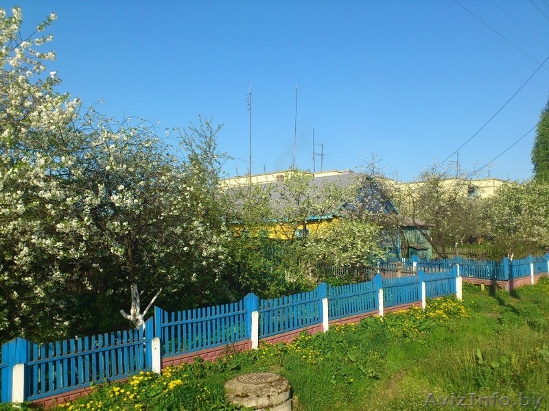 Продам дом и участок в аг. Пиревичи, Жлобинский р-н. - Изображение #2, Объявление #1482765