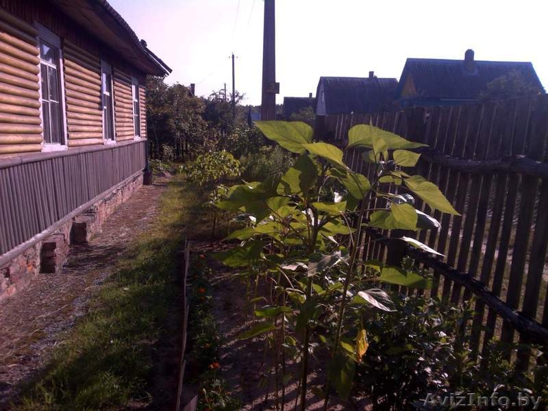 ПРОДАМ СРОЧНО ДАЧУ - Изображение #3, Объявление #1477826